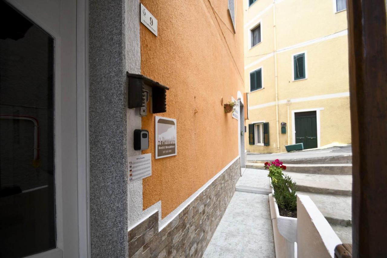 B&B La Pianedda Castelsardo Buitenkant foto